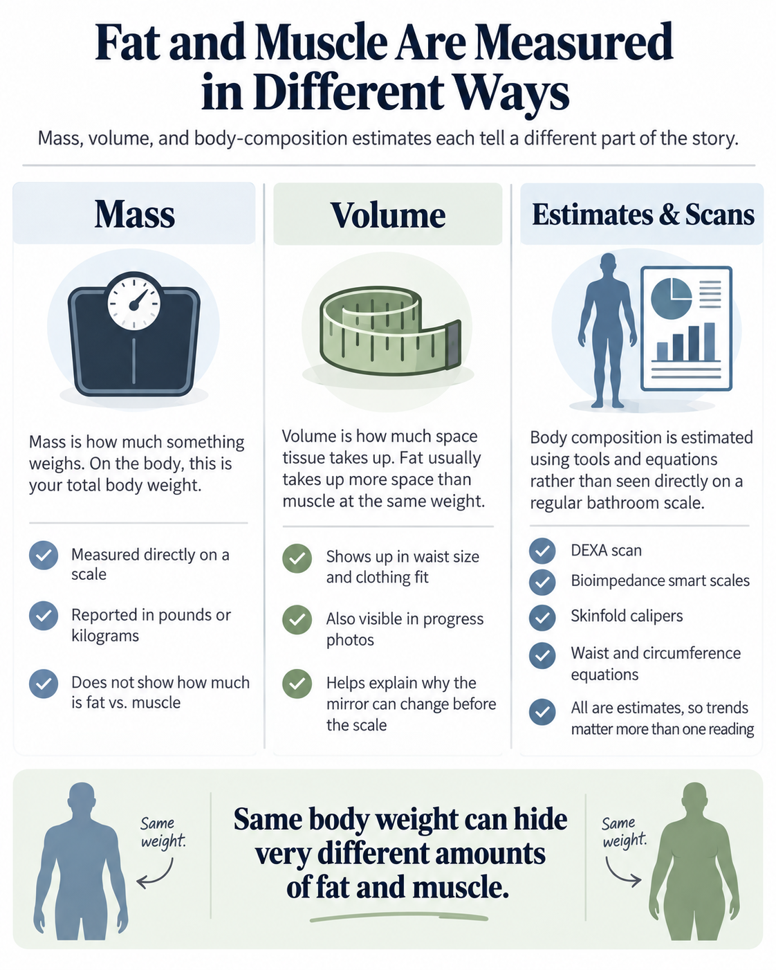 Infographic comparing fat and muscle measurement methods, including DEXA, MRI, and body composition estimates